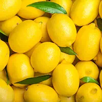 agrume citron